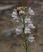 IMG_9293