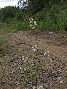 IMG_9297