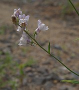 IMG_9299