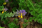 IMG_0644