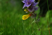 IMG_0647