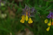 IMG_0649