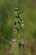 IMG_9673