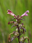 IMG_6806