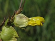 IMG_9689