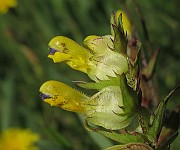 IMG_9691