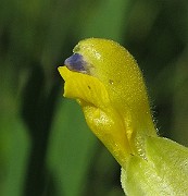 IMG_9693