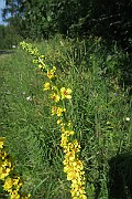 IMG_0128