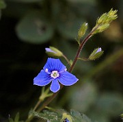 IMG_2008
