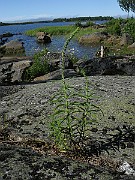 IMG_6885