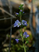 IMG_0353