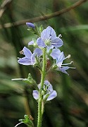 IMG_1405