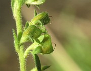 IMG_1409