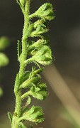 IMG_1410