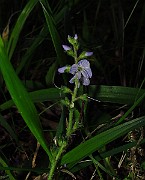 IMG_2631