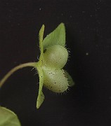 IMG_1188