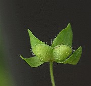 IMG_1191