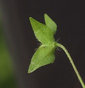 IMG_1193
