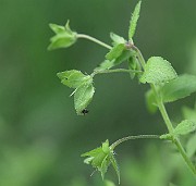IMG_1196