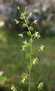 IMG_1200