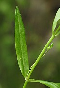 IMG_1664