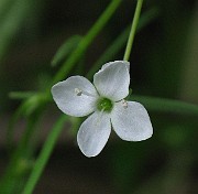 IMG_1665