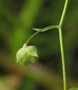 IMG_1668
