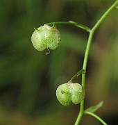 IMG_1669