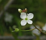 IMG_1671