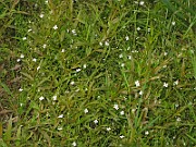 IMG_1673