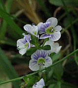 IMG_6357