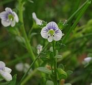 IMG_6365
