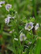 IMG_6376