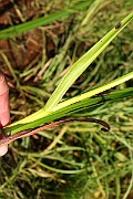 IMG_1027
