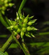 IMG_2777