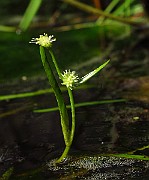 IMG_2789