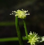 IMG_2790