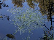 IMG_8801