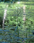 IMG_8802