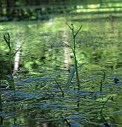 IMG_8803