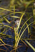 IMG_0040