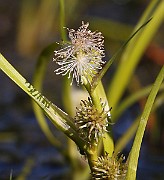 IMG_0041