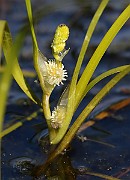 IMG_0042