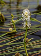 IMG_1861