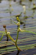 IMG_1862