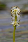 IMG_1863