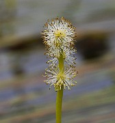 IMG_1864
