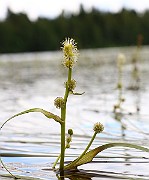 IMG_1868