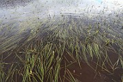 IMG_1869