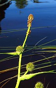 IMG_6776